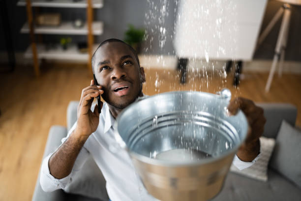 Best Water damage restoration near me  in Baldwin, FL