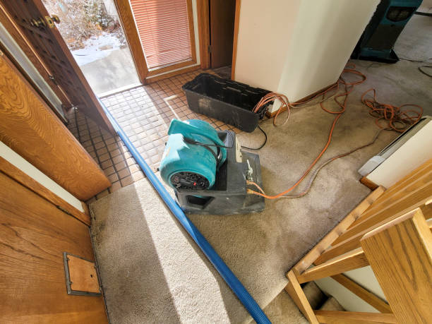Best Ceiling water damage repair  in Baldwin, FL