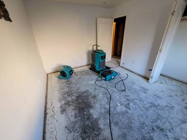 Best Sewage cleanup and water damage restoration  in Baldwin, FL