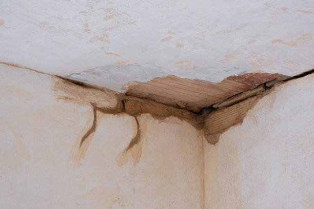 Best Water damage contractors near me  in Baldwin, FL