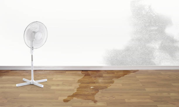 Best Fire Damage Restoration  in Baldwin, FL