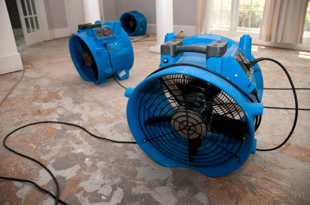 Best Water damage restoration near me  in Baldwin, FL