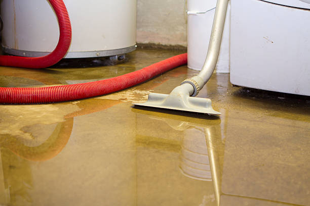 Best Flood restoration services  in Baldwin, FL