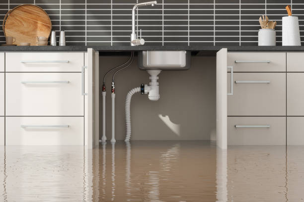 Best Flood damage cleanup  in Baldwin, FL