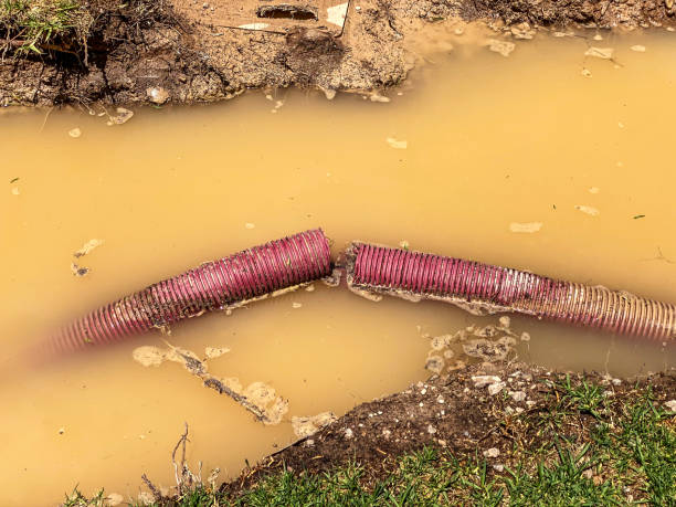 Best Carpet water damage restoration  in Baldwin, FL