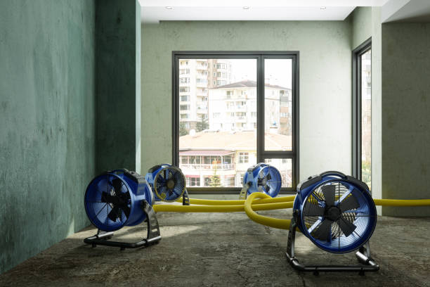 Best Residential water damage restoration  in Baldwin, FL
